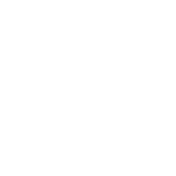 Logo de Guitar Star Workshop